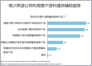打造个性化旅游体验 如何提供定制化辅助服务